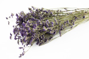 dried-limonium-natural-8.