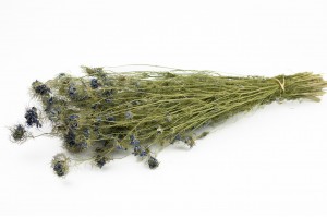 dried-nigella-blossom-29.