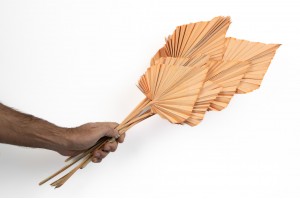 dried-palm-spear-29.