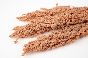 dried-corn-flowers-29