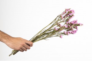 statice-sinuata-sec-18.