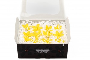 preserved-jasmin-flowers-30.