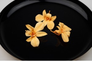 orchidee-dendrobium-stabilisee-30.