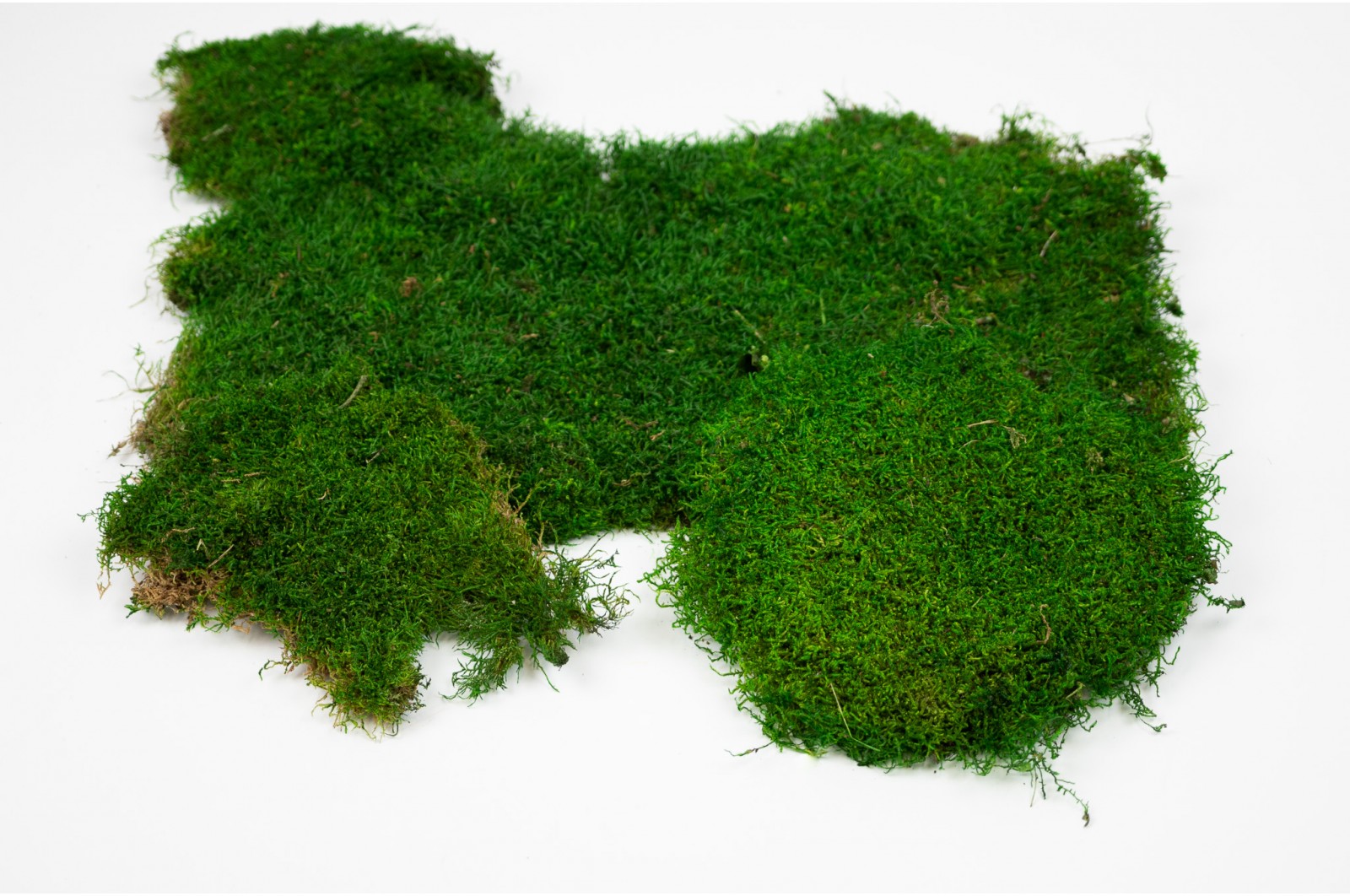 Preserved flat moss (23) (CN) preserved-flat-moss-23-cn