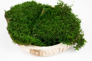 preserved-long-flat-moss-green-26.