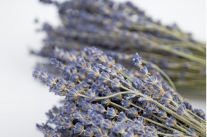 dried-lavender-natural-32