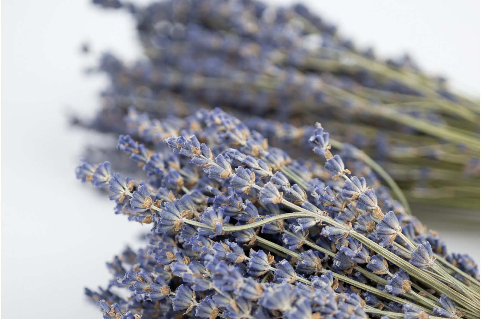 Dried lavender natural (32) dried-lavender-natural-32