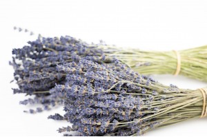 dried-lavender-natural-32.