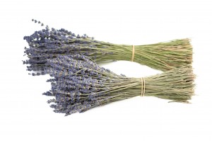 dried-lavender-natural-32.