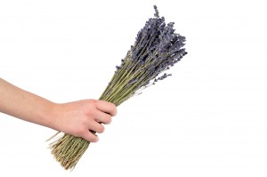 dried-lavender-natural-32.