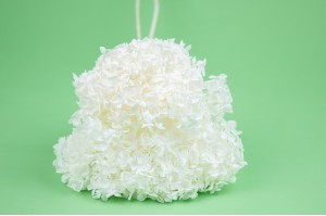 hortensia-stabilise-anna-8.