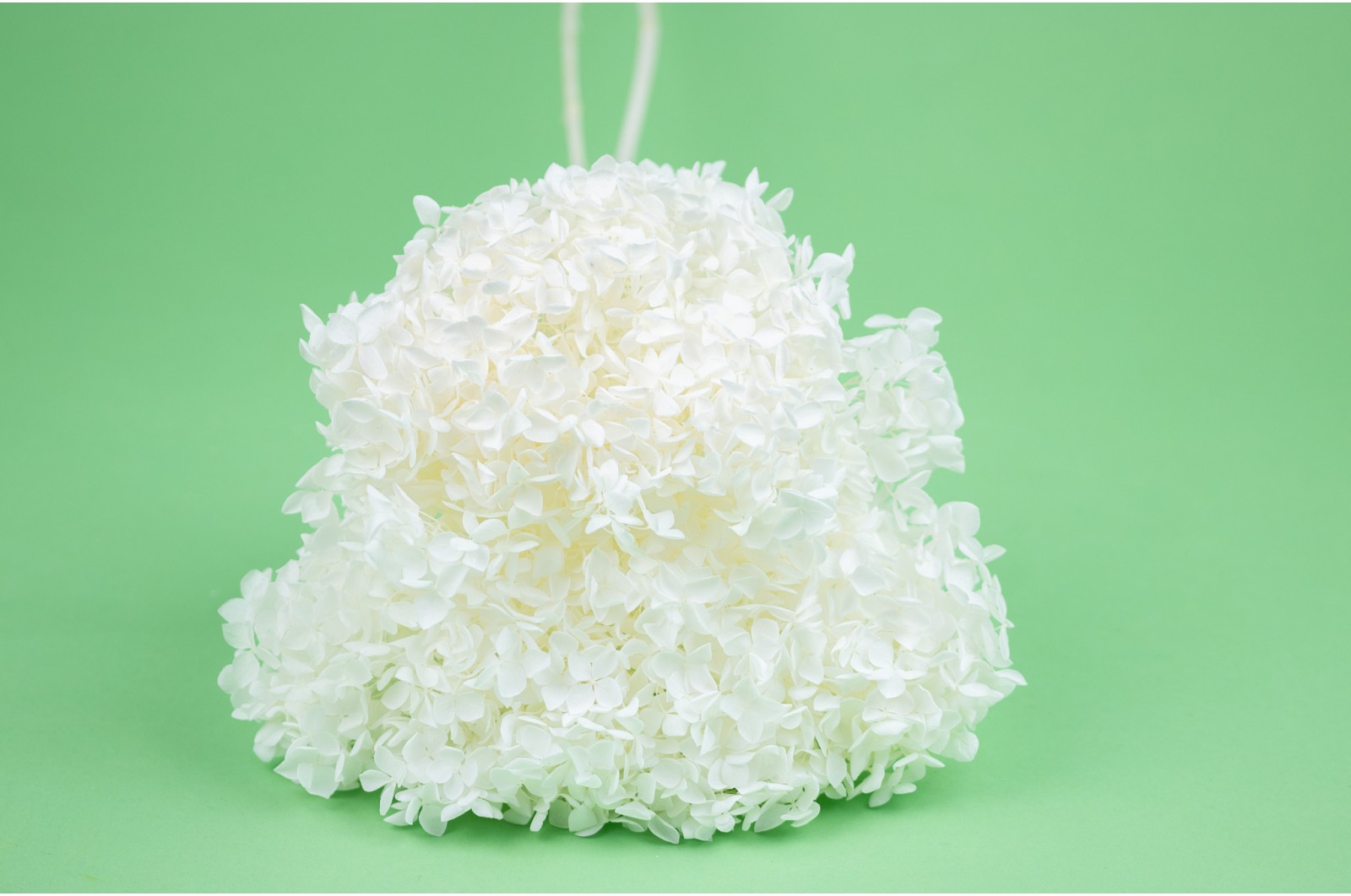 Preserved hydrangea│Sale to pros│Wholesaler of preserved plants