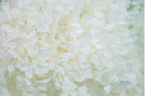preserved-anna-hydrangea-8