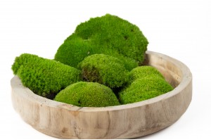 preserved-pole-moss-bulk-box-33.