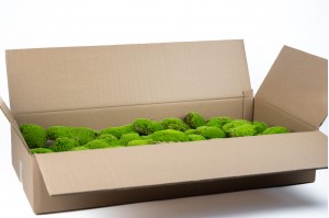 preserved-pole-moss-bulk-box-33.