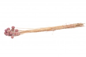 stabilisierter-trommelstock-8.
