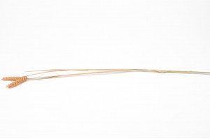 ble-sec-29.