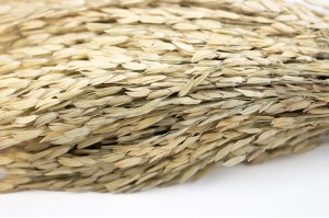 dried-rice-29