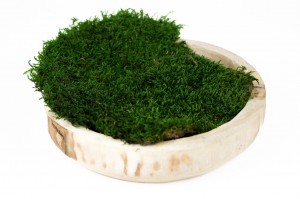 preserved-flat-moss-5-cn.