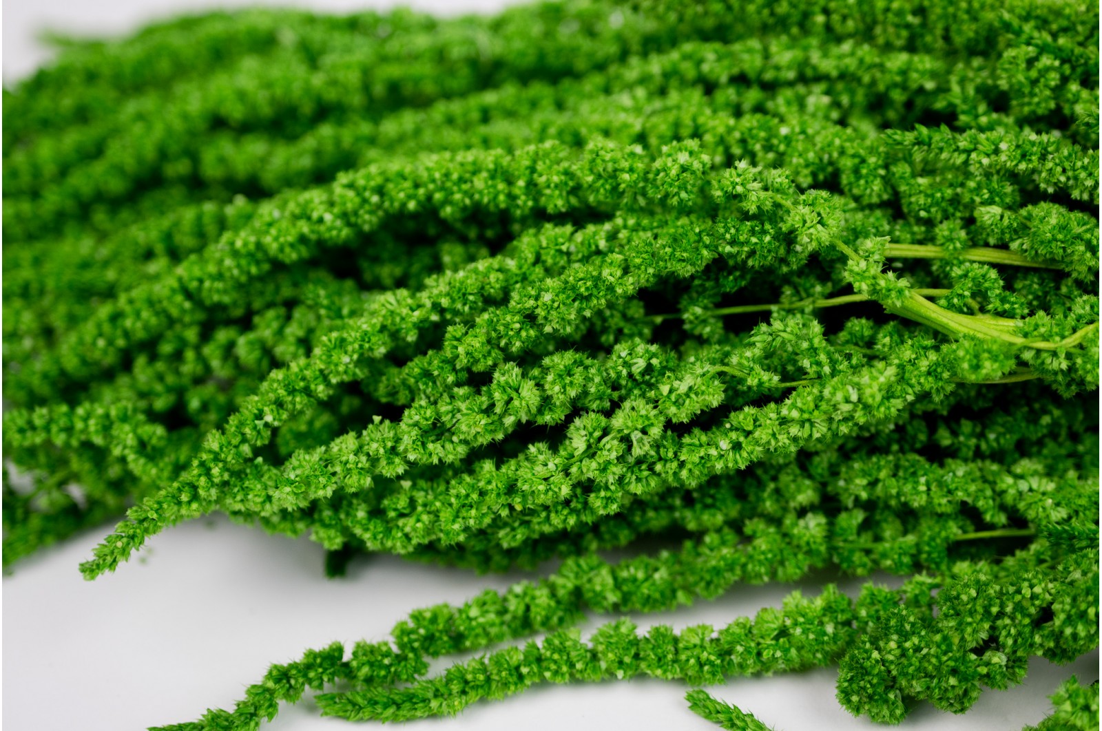 hypervenom stabilisé