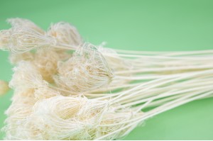 dried-fennel-flowers-nl