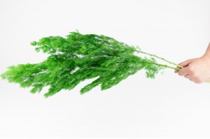 stabilisierter-mingfarn-31.