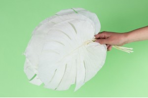 preserved-monstera-leaves-31.