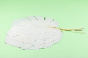 preserved-monstera-leaves-31.