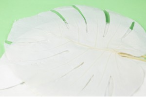 preserved-monstera-leaves-31.