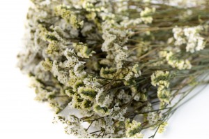 preserved-flowered-limonium-31
