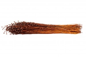 dried-flax-8.