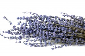 preserved-lavender-8.