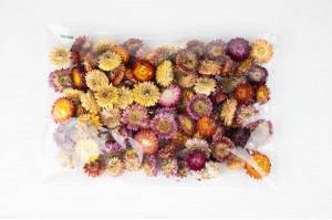 dried-helichrysum-heads-natural-34.