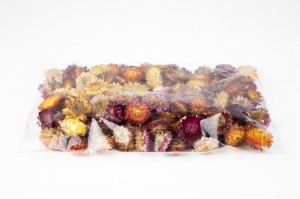 dried-helichrysum-heads-natural-34.