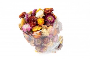 dried-helichrysum-heads-natural-34.