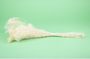 dried-broom-bloom-11.