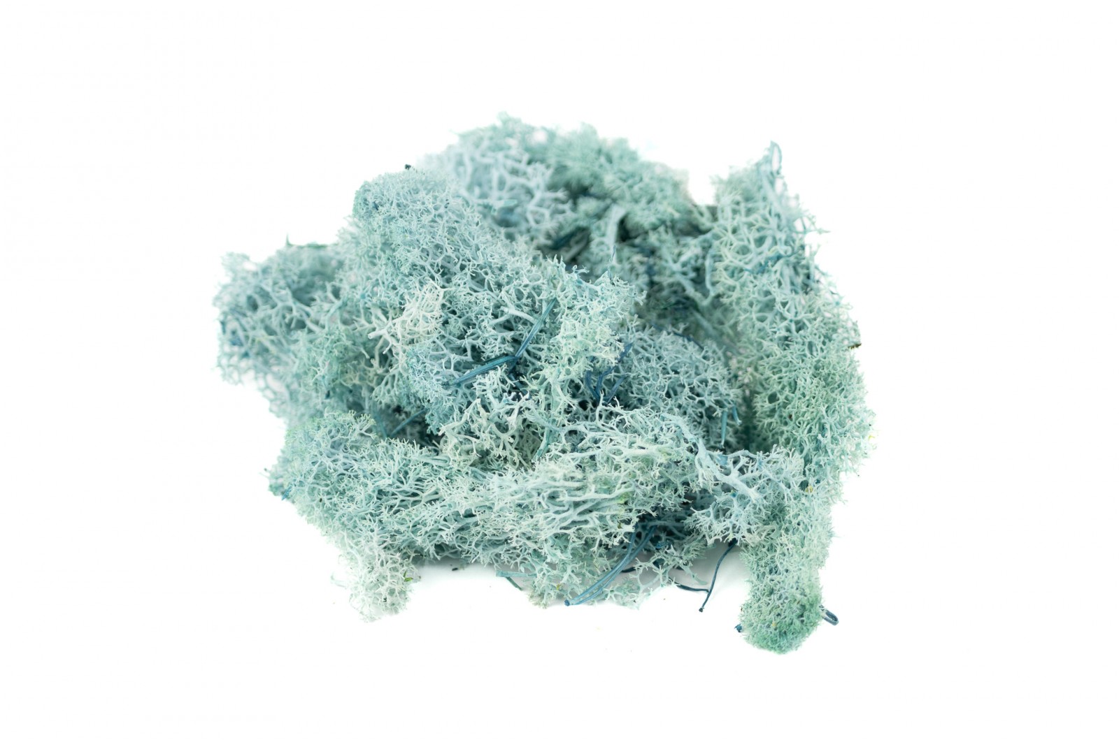 lichen-stabilise-8