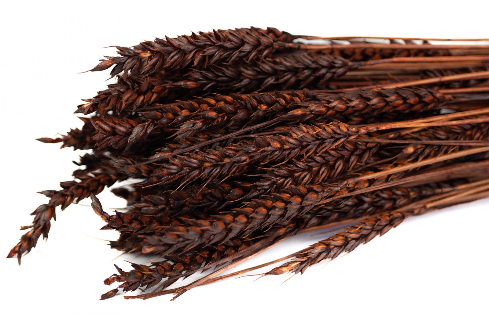 dried-wheat-8