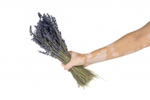 dried-lavendin-natural-32.