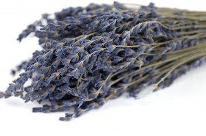 trocken-lavendin-natur-32