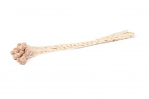 craspedie-stabilise-8.