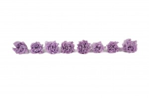preserved-carnation-14.