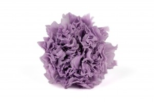 preserved-carnation-14.