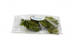 club-moss-stabilise-30.