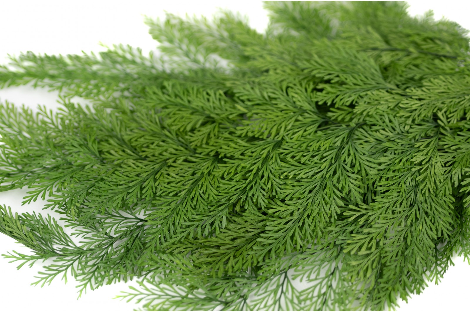 stabilisierter-tabaliafarn-30