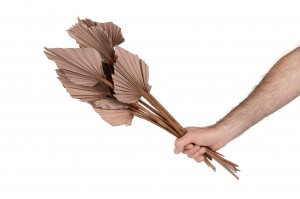 trockene-palme-spear-8.