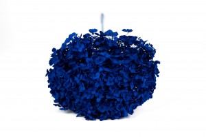 hortensia-anna-stabilise-31.