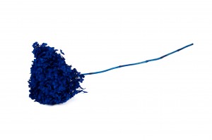 preserved-hydrangea-anna-31.