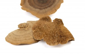 dried-mushroom-500-g-18