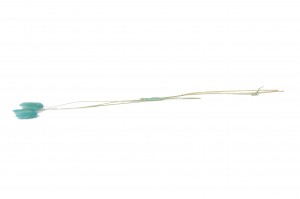 dried-lagurus-17.